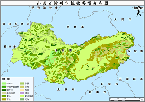 2000年山西省忻州市植被类型分布数据