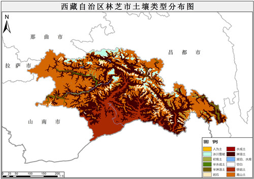 1995年西藏自治区林芝市土壤类型分布数据