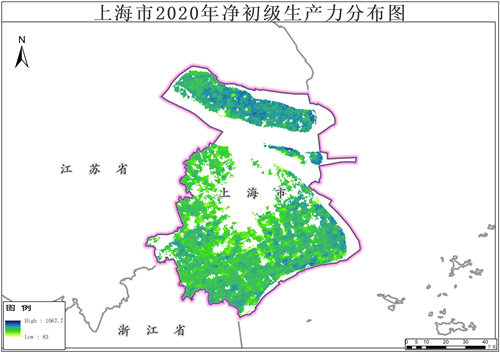 2016-2020年上海市净初级生产力年产品