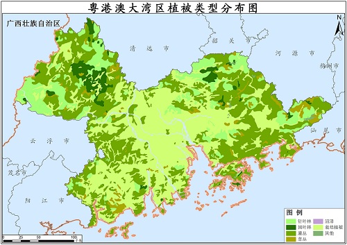 2020年粤港澳大湾区植被类型分布数据