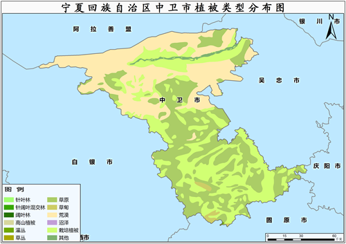 2000年宁夏回族自治区中卫市植被类型分布数据